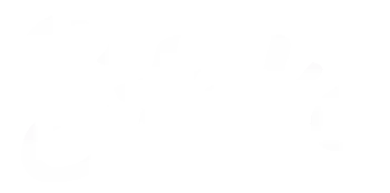 Stake Slovakia Logo